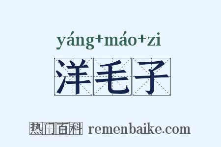洋毛子是什么意思的图片
